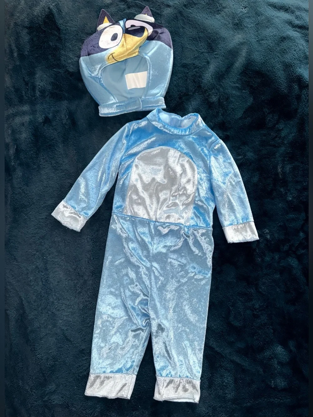 BLUEY Costume! Boys & Girls Unisex Halloween Costume 2T (fits like 18 mo.) EUC